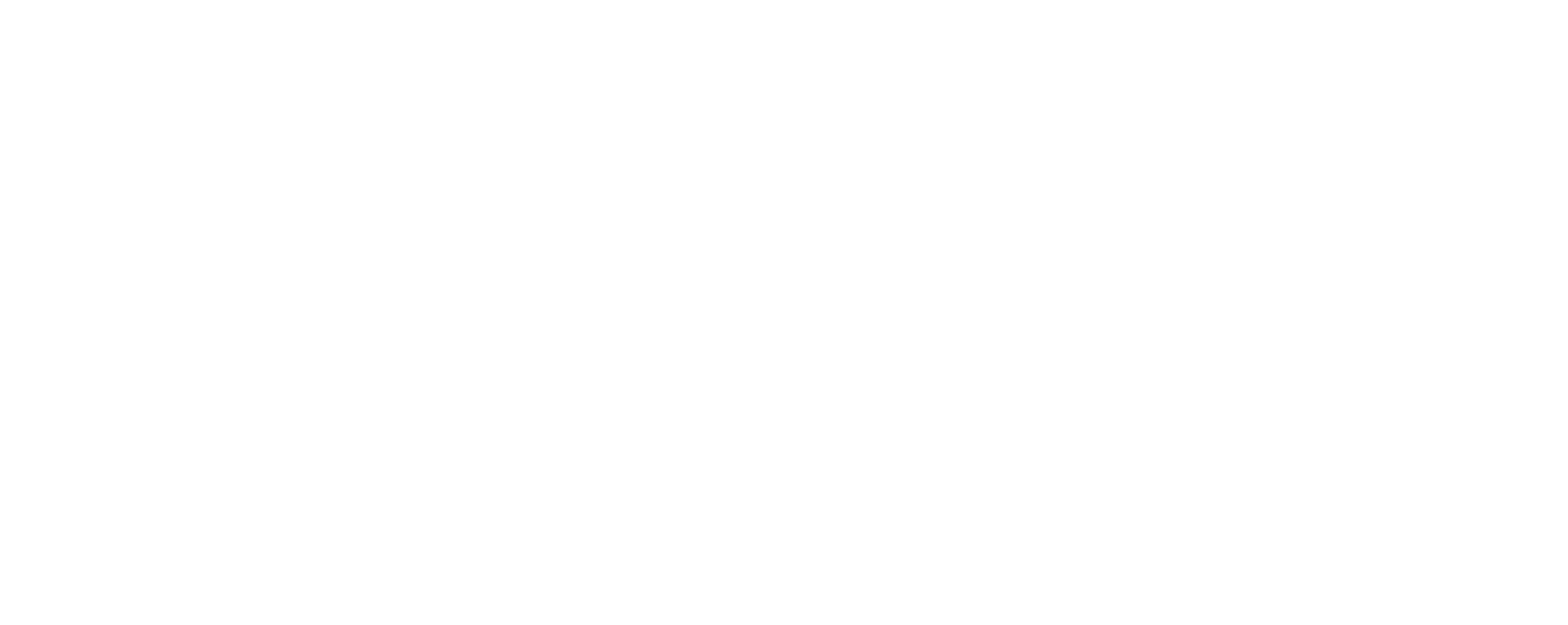 logo baldo